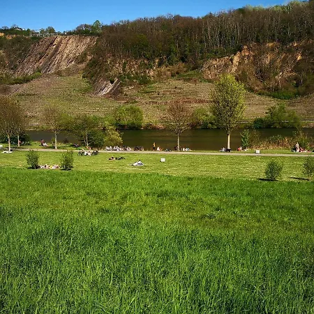 Malefi 1 Am Gülser Moselbogen Chalet