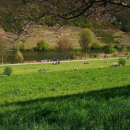 Chalet Malefi 1 Am Gülser Moselbogen Koblenz (Rhineland-Palatinate)