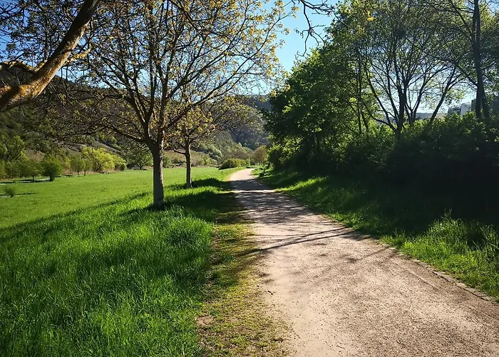 Chalet Malefi 1 Am Gülser Moselbogen Koblenz (Rhineland-Palatinate)